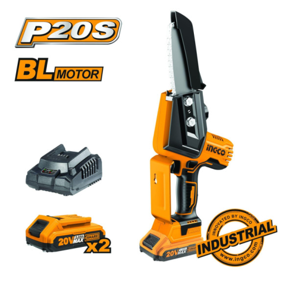 SEGA A BATTERIA 20V 2BAT.2AH+CAR