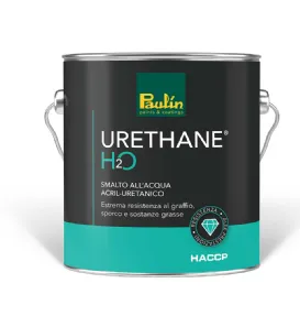 URETHANE®H2O 750ML PAULIN